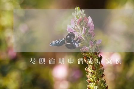 花呗逾期申请成功案例 花呗逾期申请成功案例