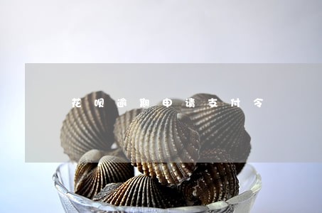 花呗逾期申请支付令 花呗逾期申请支付令