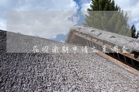花呗逾期申请立案调查 花呗逾期申请立案调查
