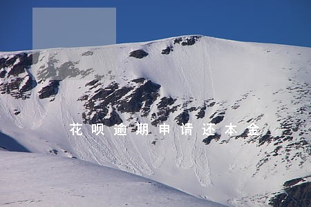 花呗逾期申请还本金 花呗逾期申请还本金