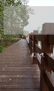 花呗逾期申请饿用金能通过么