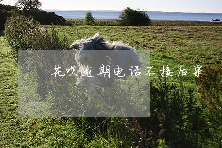 花呗逾期电话不接后果 花呗逾期电话不接后果
