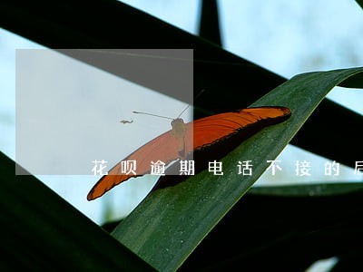花呗逾期电话不接的后果 花呗逾期电话不接的后果