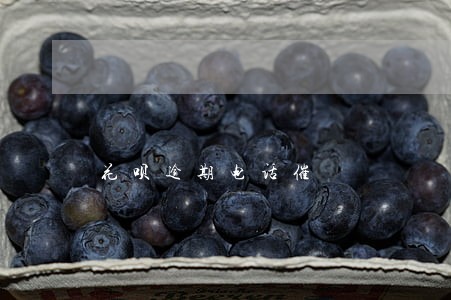 花呗逾期电话催 花呗逾期电话催