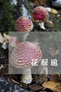 花呗逾期电话催收号码是 花呗逾期电话催收号码是