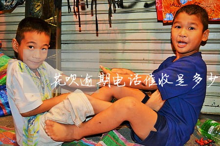 花呗逾期电话催收是多少 花呗逾期电话催收是多少