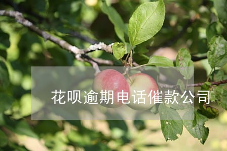 花呗逾期电话催款公司 花呗逾期电话催款公司