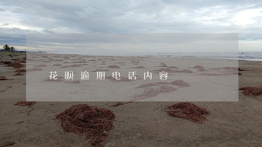 花呗逾期电话内容 花呗逾期电话内容