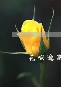 花呗逾期电话可以调取通讯录吗 花呗逾期电话可以调取通讯录吗