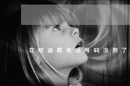 花呗逾期电话号码没用了咋还款 花呗逾期电话号码没用了咋还款