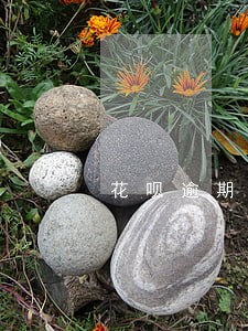 花呗逾期电话失联 花呗逾期电话失联