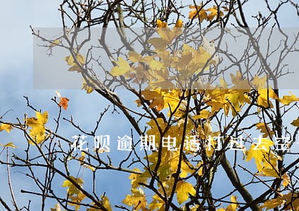花呗逾期电话打过去空号 花呗逾期电话打过去空号