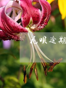 花呗逾期电话是哪里打的 花呗逾期电话是哪里打的