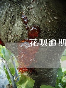 花呗逾期电话更换 花呗逾期电话更换