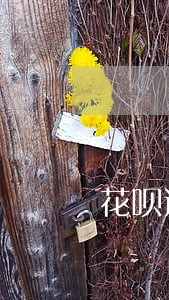 花呗逾期电话轰炸 花呗逾期电话轰炸