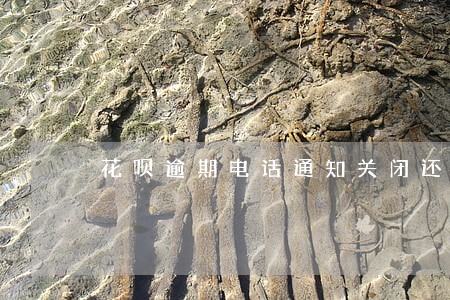 花呗逾期电话通知关闭还款通道