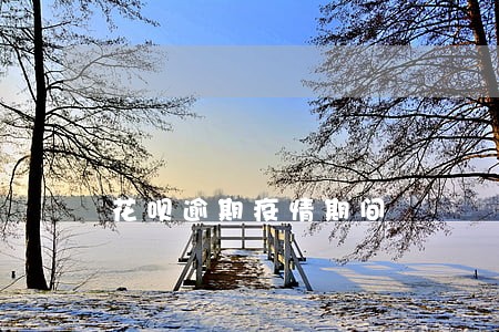 花呗逾期疫情期间 花呗逾期疫情期间