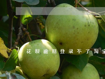 花呗逾期登录不了淘宝 花呗逾期登录不了淘宝
