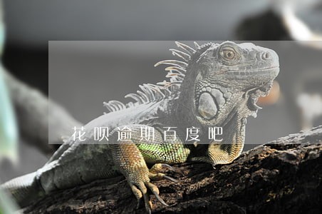 花呗逾期百度吧 花呗逾期百度吧