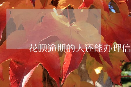 花呗逾期的人还能办理信用卡吗 花呗逾期的人还能办理信用卡吗
