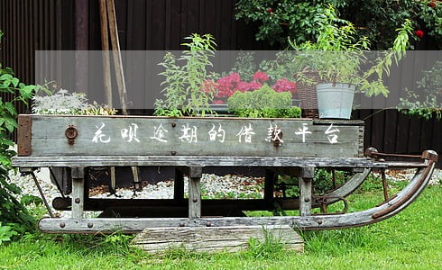 花呗逾期的借款平台 花呗逾期的借款平台