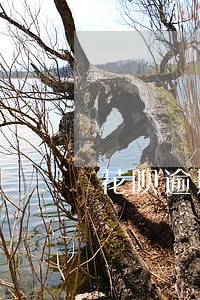 花呗逾期的利息在哪里还 花呗逾期的利息在哪里还
