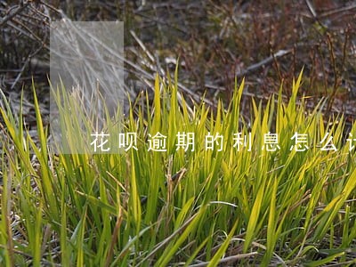 花呗逾期的利息怎么计算 花呗逾期的利息怎么计算