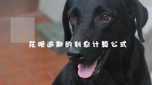 花呗逾期的利息计算公式 花呗逾期的利息计算公式