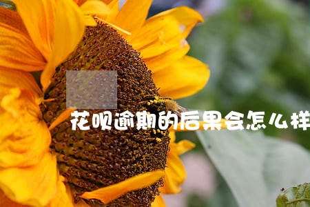 花呗逾期的后果会怎么样 花呗逾期的后果会怎么样