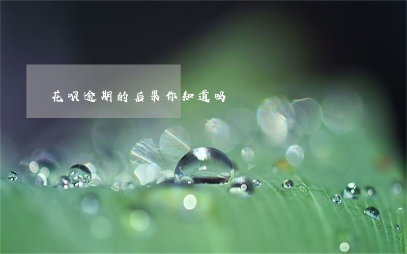 花呗逾期的后果你知道吗 花呗逾期的后果你知道吗