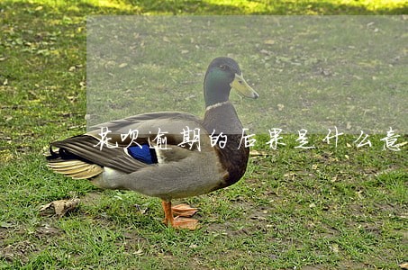 花呗逾期的后果是什么意思 花呗逾期的后果是什么意思