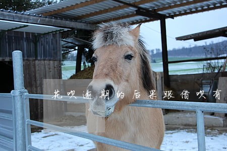 花呗逾期的后果跟借呗有什么区别 花呗逾期的后果跟借呗有什么区别