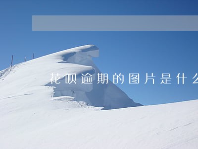 花呗逾期的图片是什么样子 花呗逾期的图片是什么样子