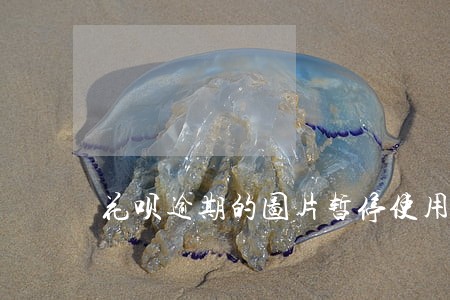 花呗逾期的图片暂停使用 花呗逾期的图片暂停使用