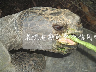 花呗逾期的影响信用吗 花呗逾期的影响信用吗