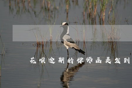 花呗逾期的律师函是发到哪里 花呗逾期的律师函是发到哪里