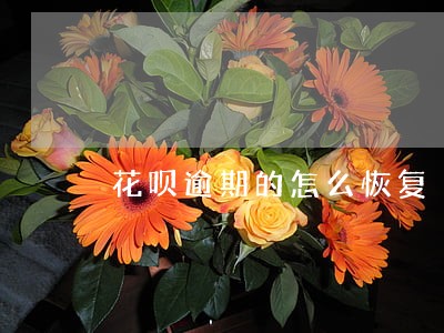花呗逾期的怎么恢复 花呗逾期的怎么恢复
