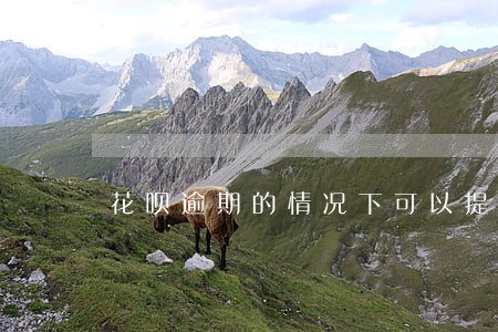 花呗逾期的情况下可以提升额度吗