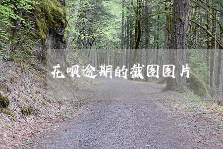 花呗逾期的截图图片 花呗逾期的截图图片
