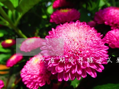 花呗逾期的提醒方式是什么 花呗逾期的提醒方式是什么