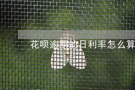花呗逾期的日利率怎么算 花呗逾期的日利率怎么算