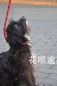 花呗逾期的时间 花呗逾期的时间