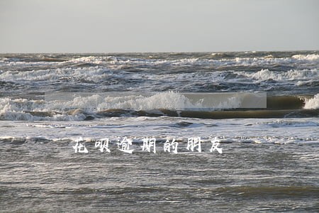 花呗逾期的朋友 花呗逾期的朋友