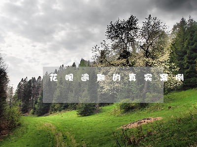 花呗逾期的真实案例 花呗逾期的真实案例