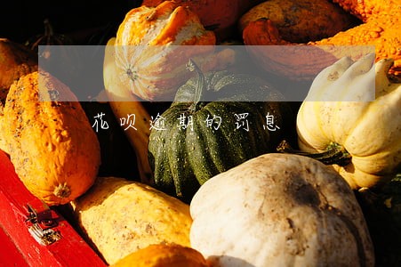 花呗逾期的罚息 花呗逾期的罚息