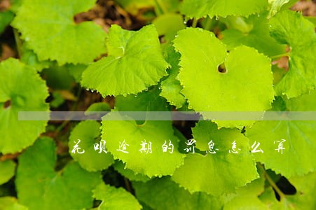 花呗逾期的罚息怎么算 花呗逾期的罚息怎么算