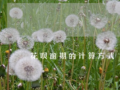 花呗逾期的计算方式 花呗逾期的计算方式