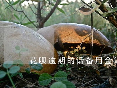 花呗逾期的话备用金能用吗