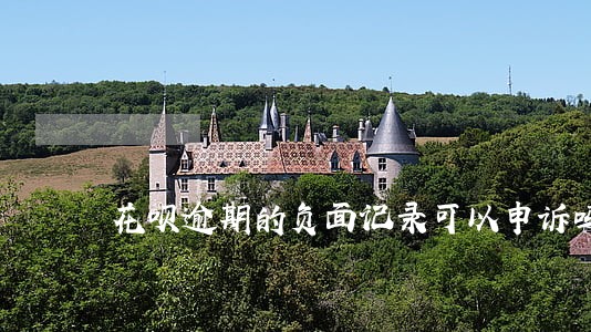 花呗逾期的负面记录可以申诉吗