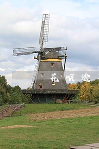 花呗逾期的账单页面 花呗逾期的账单页面